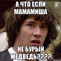 а что если МАМАМИША не бурый МЕДВЕДЬ????