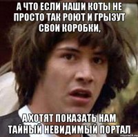 а что если наши коты не просто так роют и грызут свои коробки, а хотят показать нам тайный невидимый портал