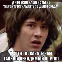 а что если наши коты не "неройтутсукаблятьпошелотсюда", а хотят показать нам тайный невидимый портал