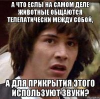 а что еслы на самом деле животные общаются телепатически между собой, а для прикрытия этого используют звуки?