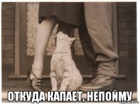  откуда капает, непойму