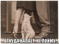  откуда капает, не пойму