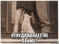  откуда капает, не пойму?