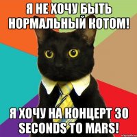 Я не хочу быть нормальный котом! Я хочу на концерт 30 seconds to mars!