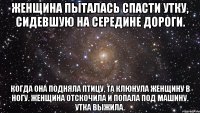 Женщина пыталась спасти утку, сидевшую на середине дороги. Когда она подняла птицу, та клюнула женщину в ногу. Женщина отскочила и попала под машину. Утка выжила.