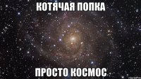 котячая попка просто космос