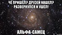 Чё пришёл? Друзей нашел? Развернулся и ушёл! Альфа-самец