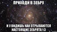 Приходи в зебру и у видишь как отрываются настоящие Зебрята !:3