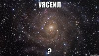 уясеил ?