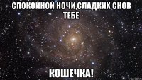 СПОКОЙНОЙ НОЧИ,СЛАДКИХ СНОВ ТЕБЕ КОШЕЧКА!