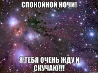 Спокойной ночи! Я тебя очень жду и скучаю!!!