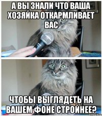 а вы знали что ваша хозяйка откармливает вас чтобы выглядеть на вашем фоне стройнее?