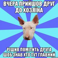 Вчера прийшов друг до хозяїна Рішив помітить друга шоб знав хто тут главний