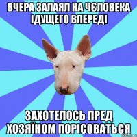 Вчера залаял на чєловека ідущего впереді Захотелось пред хозяїном порісоваться