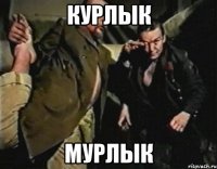 курлык мурлык