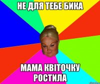 не для тебе бика мама квіточку ростила