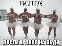 5-А клас После уроков на льду