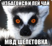 узбагойся и пей чай МВД шепетовка