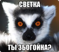 светка ты збогойна?