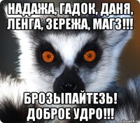 Надажа, Гадок, Даня, Ленга, Зережа, Магз!!! Брозыпайтезь! Доброе удро!!!