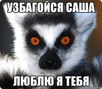 УЗБАГОЙСЯ САША ЛЮБЛЮ Я ТЕБЯ