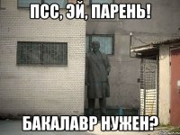 Псс, эй, парень! Бакалавр нужен?