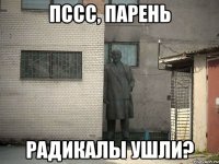 Пссс, Парень Радикалы ушли?