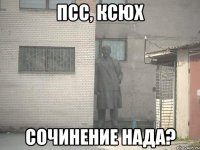 псс, ксюх сочинение нада?