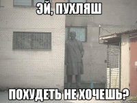 Эй, пухляш похудеть не хочешь?