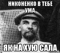 Никоненко в тебе ума як на хую сала