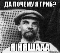 да почему я гриб? я няшааа