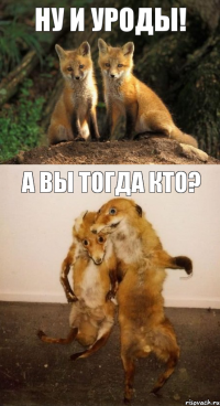 Ну и уроды! А вы тогда кто?