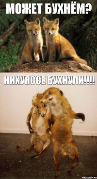 может бухнём? нихуяссе бухнули!!!!