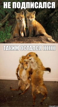 НЕ ПОДПИСАЛСЯ ТАКИМ ОСТАЛСЯ )))))))