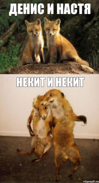 Денис и Настя Некит и Некит