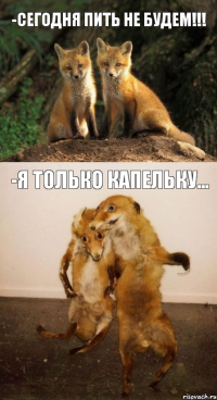 -сегодня пить не будем!!! -я только капельку...