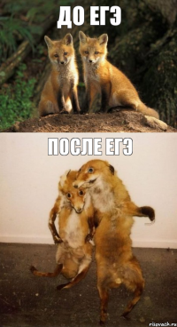 До ЕГЭ После ЕГЭ