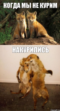 когда мы не курим Накурились