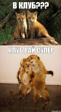 В клуб??? Клуб рай супер