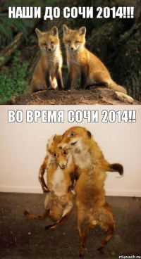 Наши до СОЧИ 2014!!! ВО ВРЕМЯ СОЧИ 2014!!