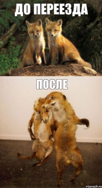 ДО ПЕРЕЕЗДА ПОСЛЕ