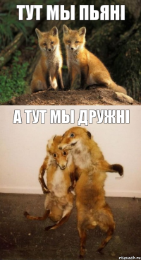 Тут мы пьяні А тут мы дружні