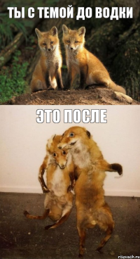 ты с темой до водки это после