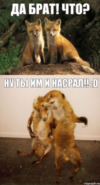 Да брат! Что? Ну ты им и насрал!! :D