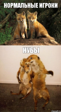 нормальные игроки нубы