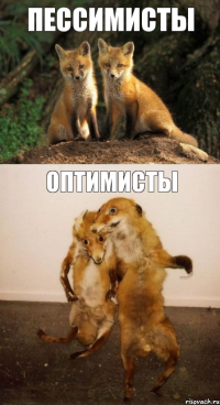 Пессимисты Оптимисты