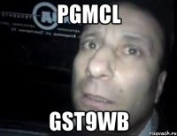 pGMcl gsT9Wb