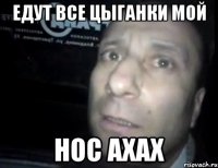 Едут все цыганки мой Нос ахах