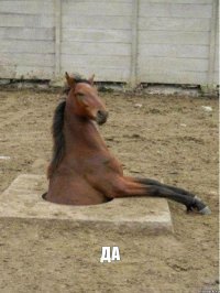  ДА