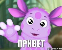 привет